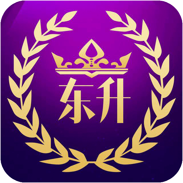 东升国际 100+100